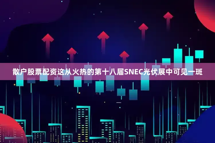 散户股票配资这从火热的第十八届SNEC光伏展中可见一斑