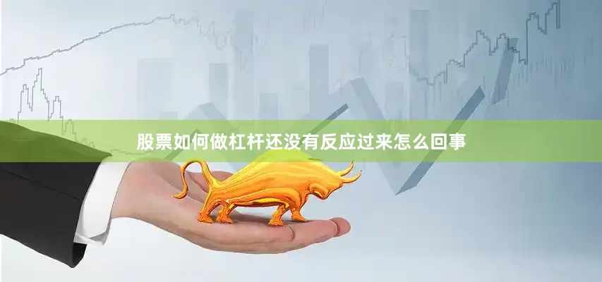 股票如何做杠杆还没有反应过来怎么回事