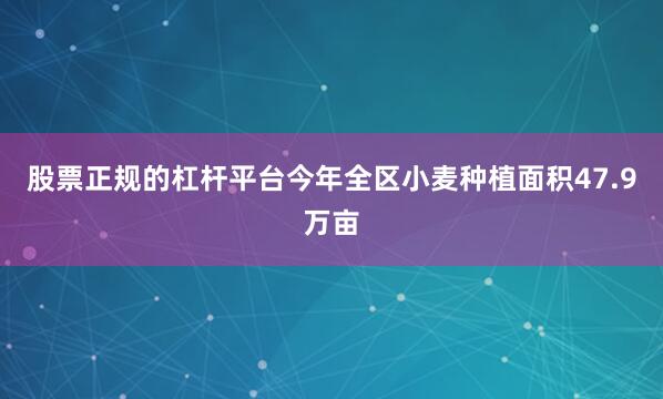 股票正规的杠杆平台今年全区小麦种植面积47.9万亩