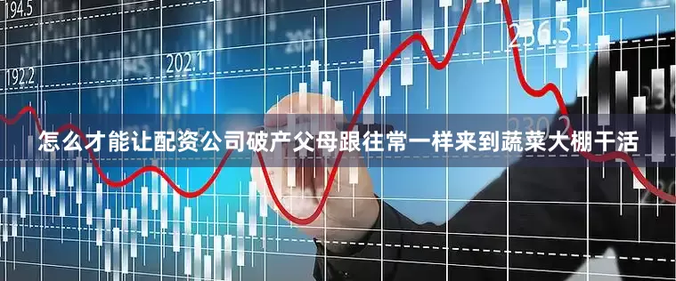 怎么才能让配资公司破产父母跟往常一样来到蔬菜大棚干活